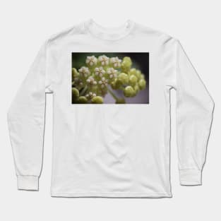Hoya Pachyclada Flowers and Buds Long Sleeve T-Shirt